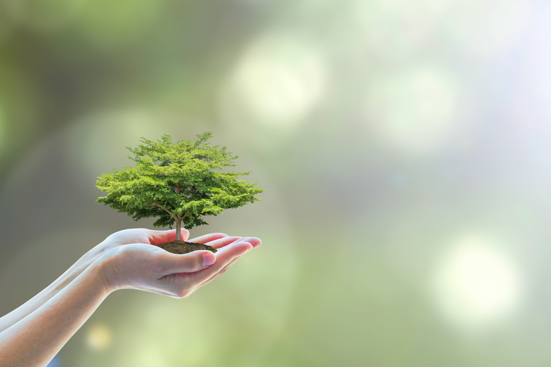 Community Initiatives for Packaging and Cardboard Disposal